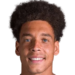A. Witsel