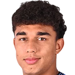 Dominic Vavassori
