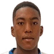 D. Ndulue