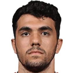 Mahmoud Saber Abdelmohsen